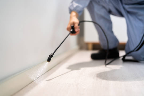 Licensed Pest Control service in Lake Ketchum, WA - Show Me Pest Control